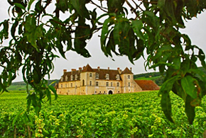 Clos de Vougeot vineyards in the heart of the Burgundy wine region